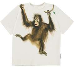 Rillo T-shirts & Tops